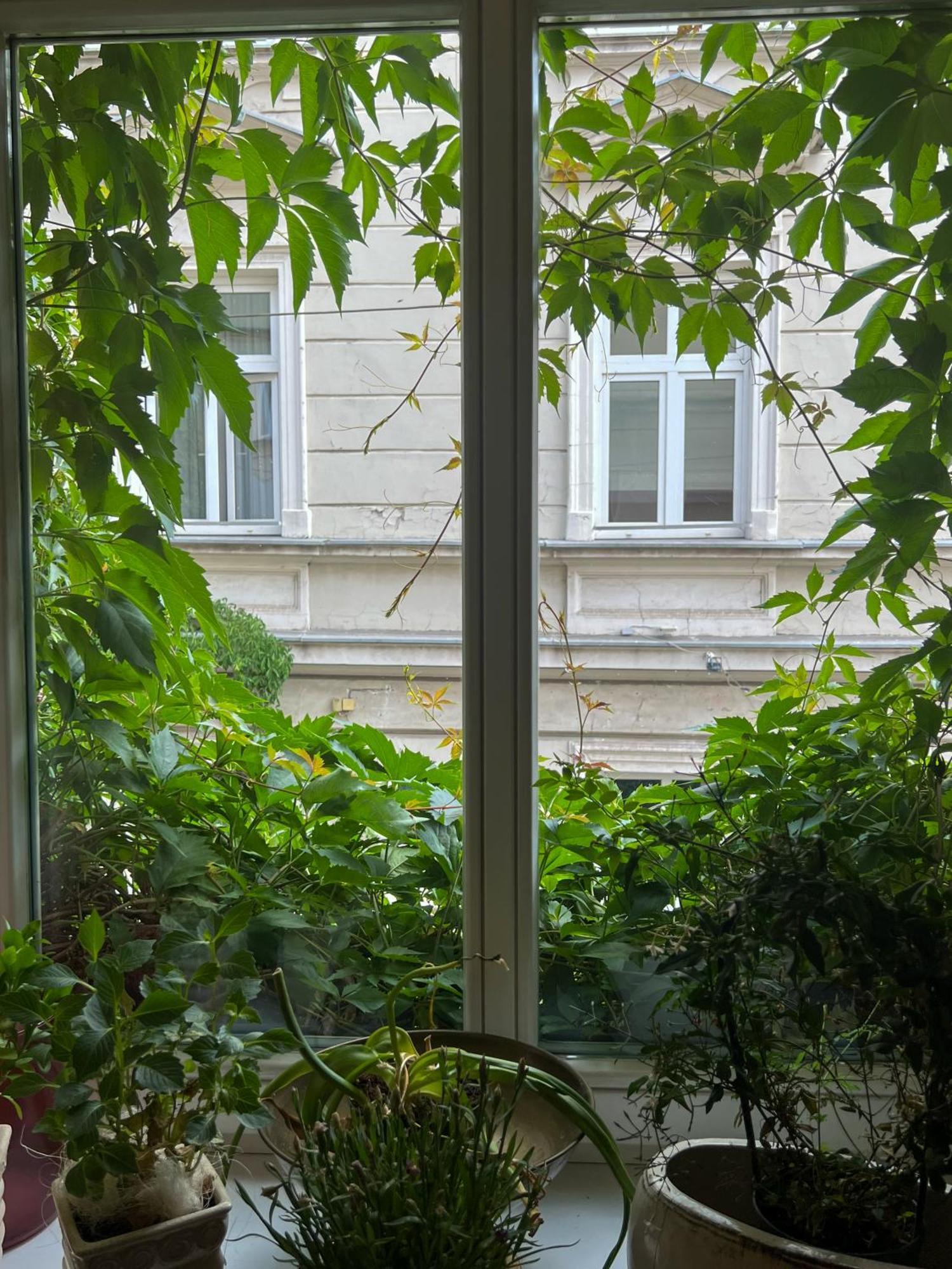 Aparthotel Karmel Krasków Exterior foto